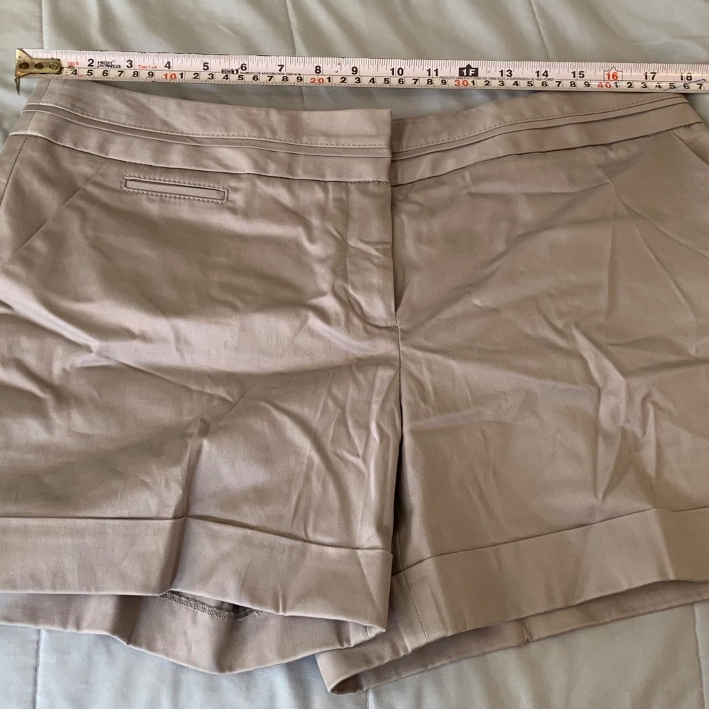 Express editor grey shorts